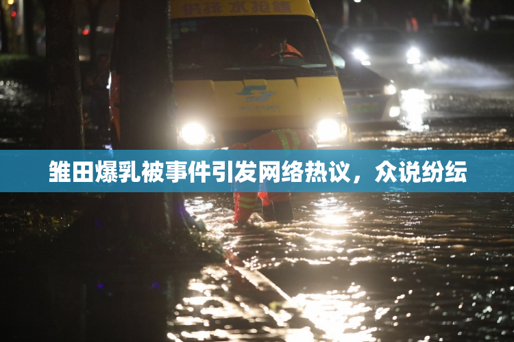 雏田爆乳被事件引发网络热议，众说纷纭