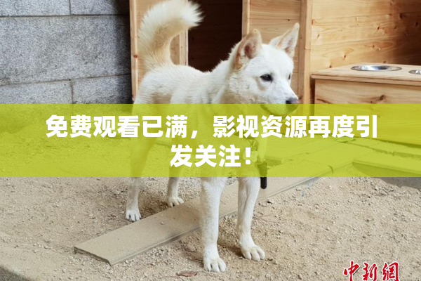 免费观看已满，影视资源再度引发关注！