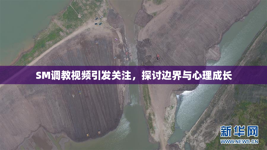 SM调教视频引发关注，探讨边界与心理成长