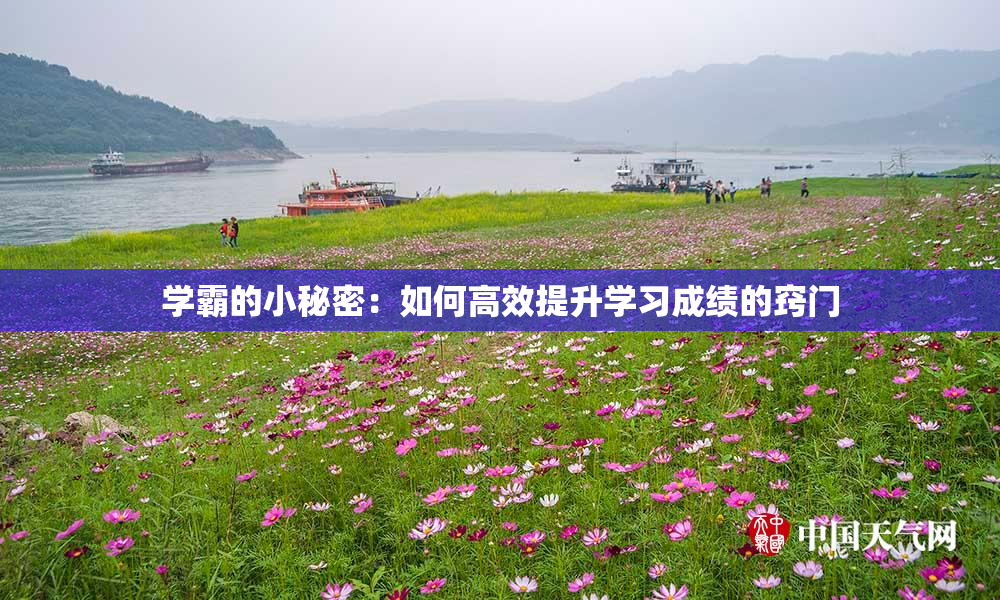 学霸的小秘密：如何高效提升学习成绩的窍门