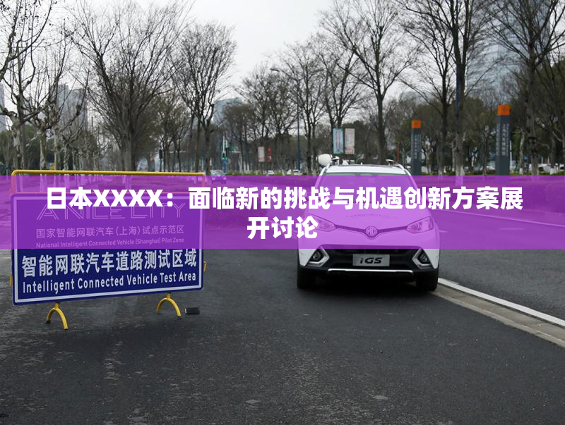 日本XXXX：面临新的挑战与机遇创新方案展开讨论