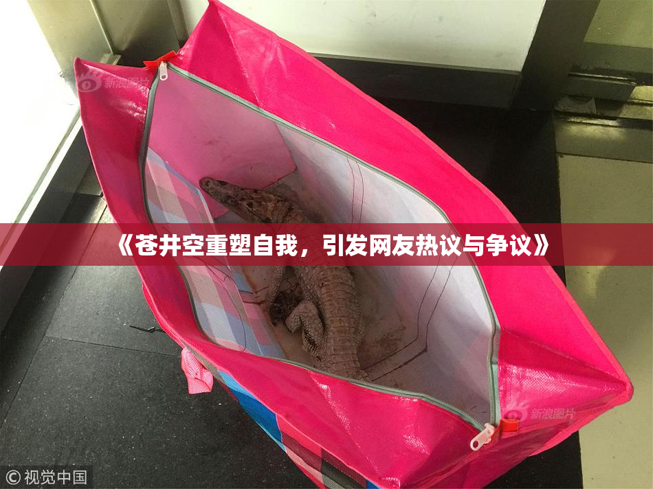 《苍井空重塑自我，引发网友热议与争议》