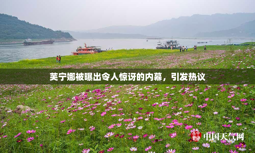 芙宁娜被曝出令人惊讶的内幕，引发热议