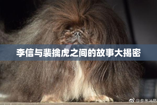 李信与裴擒虎之间的故事大揭密