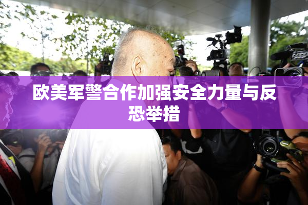 欧美军警合作加强安全力量与反恐举措