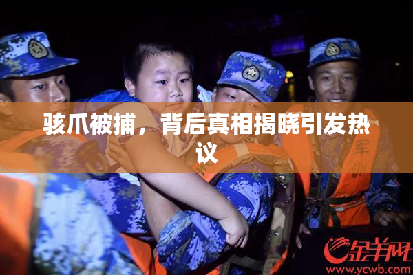 骇爪被捕，背后真相揭晓引发热议