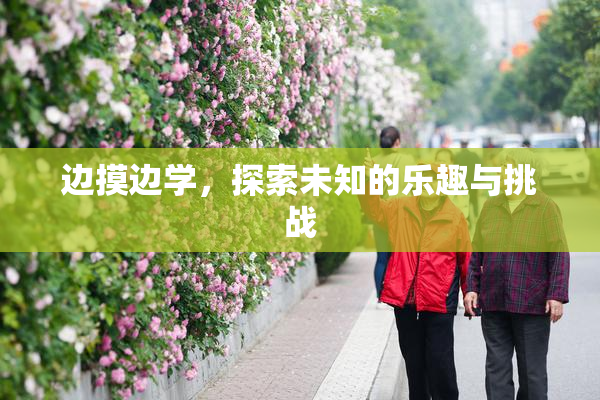 边摸边学，探索未知的乐趣与挑战