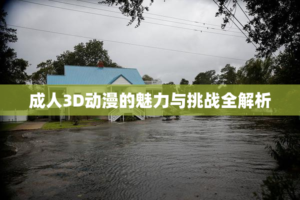 成人3D动漫的魅力与挑战全解析