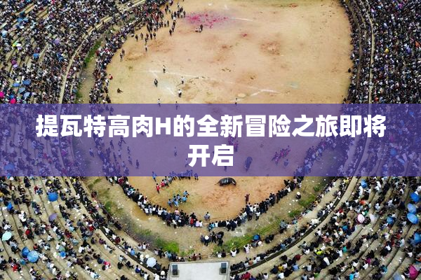 提瓦特高肉H的全新冒险之旅即将开启