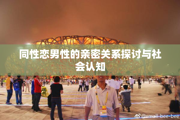 同性恋男性的亲密关系探讨与社会认知