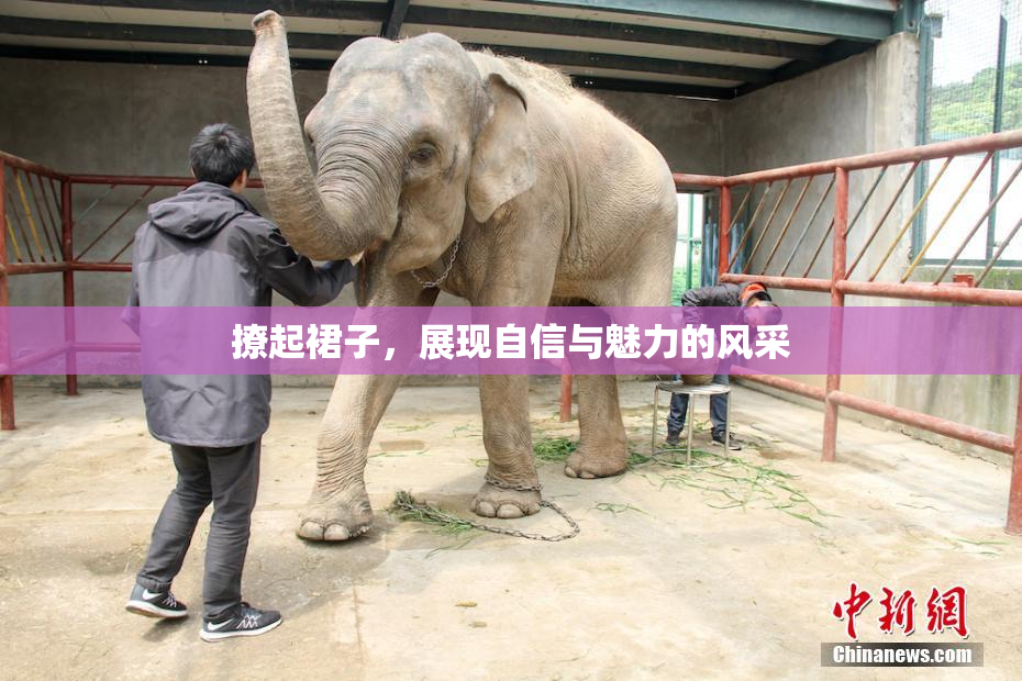 撩起裙子，展现自信与魅力的风采