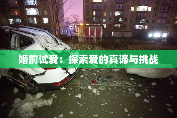 婚前试爱：探索爱的真谛与挑战