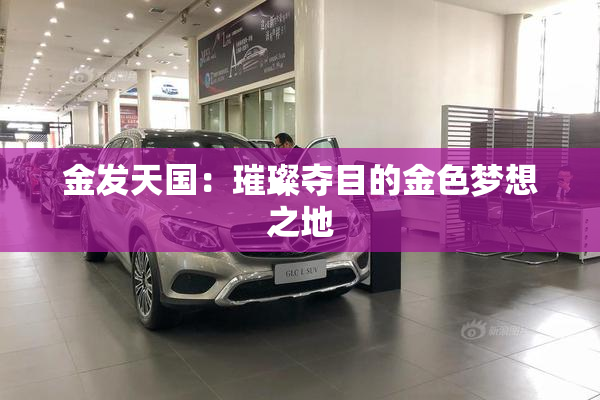 金发天国：璀璨夺目的金色梦想之地