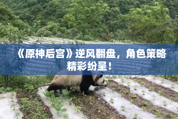 《原神后宫》逆风翻盘，角色策略精彩纷呈！
