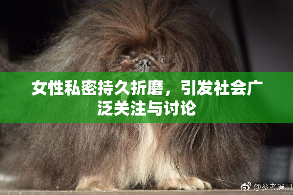 女性私密持久折磨，引发社会广泛关注与讨论