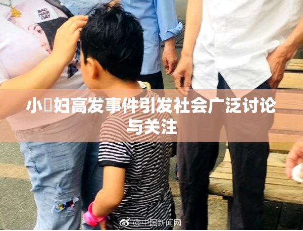 小婬妇高发事件引发社会广泛讨论与关注