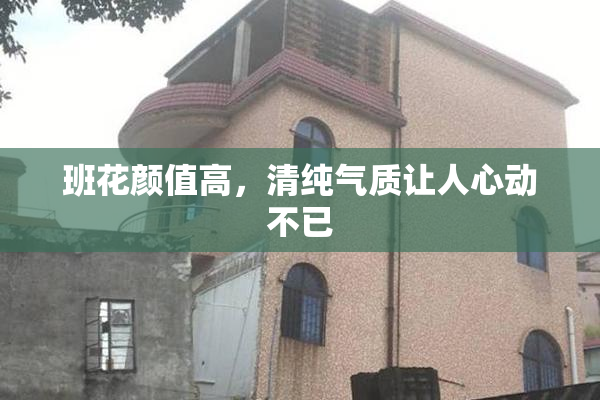 班花颜值高，清纯气质让人心动不已
