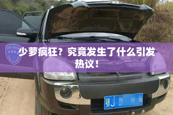 少萝疯狂？究竟发生了什么引发热议！