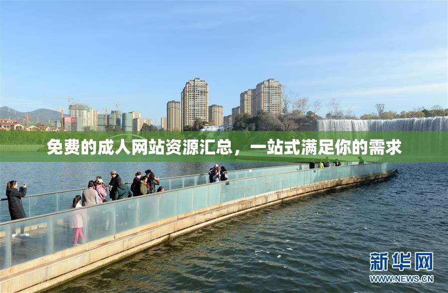 免费的成人网站资源汇总，一站式满足你的需求