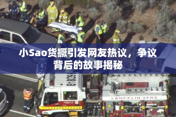 小Sao货撅引发网友热议，争议背后的故事揭秘