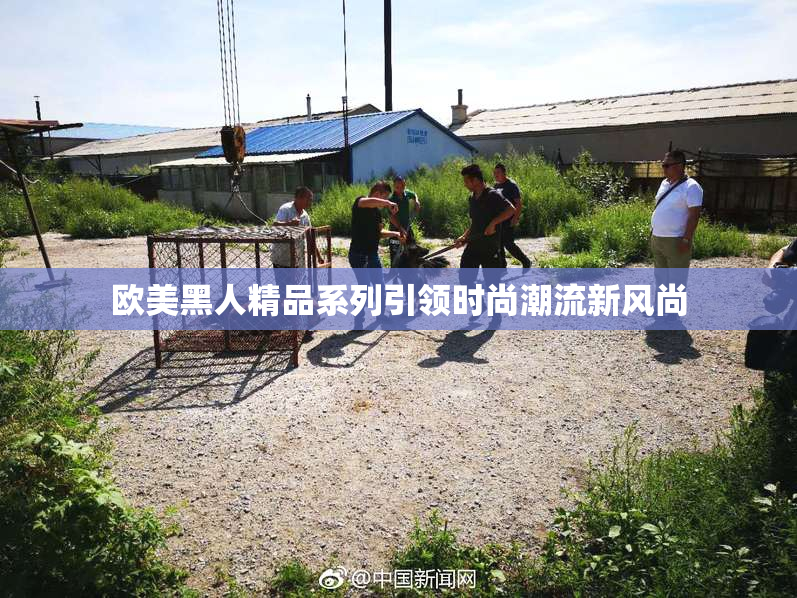欧美黑人精品系列引领时尚潮流新风尚