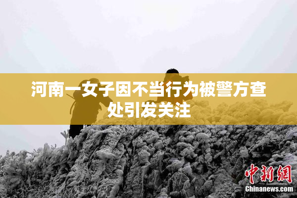 河南一女子因不当行为被警方查处引发关注