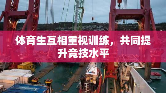 体育生互相重视训练，共同提升竞技水平