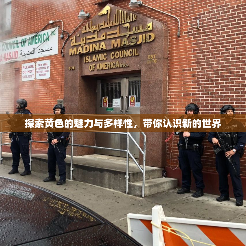 探索黄色的魅力与多样性，带你认识新的世界