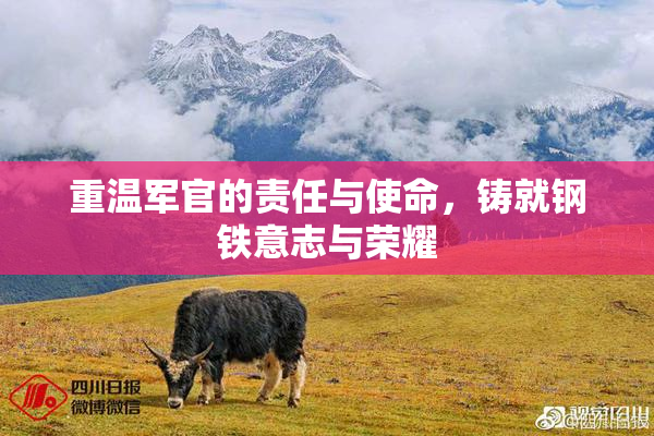 重温军官的责任与使命，铸就钢铁意志与荣耀