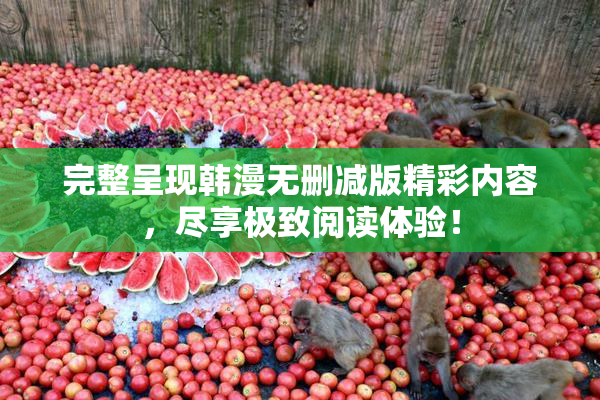 完整呈现韩漫无删减版精彩内容，尽享极致阅读体验！