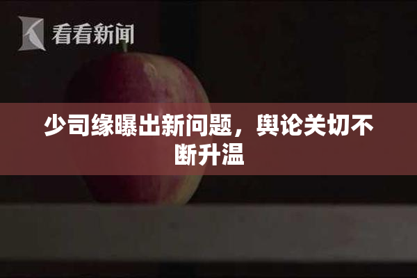 少司缘曝出新问题，舆论关切不断升温