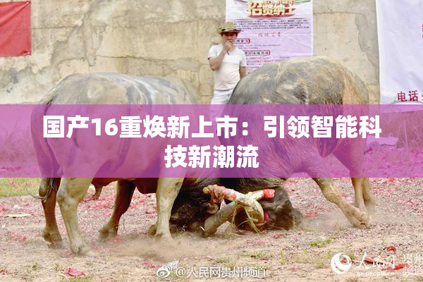 国产16重焕新上市：引领智能科技新潮流