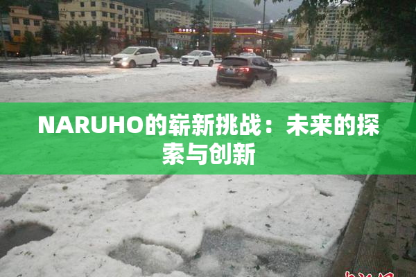 NARUHO的崭新挑战：未来的探索与创新