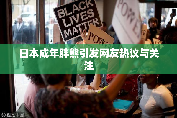 日本成年胖熊引发网友热议与关注