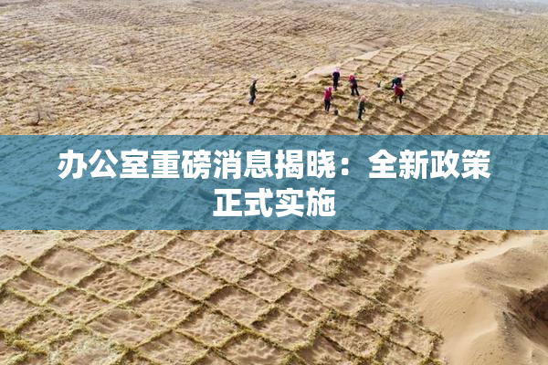 办公室重磅消息揭晓：全新政策正式实施
