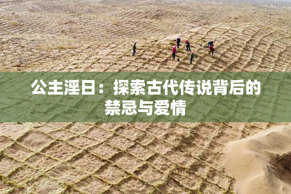 公主淫日：探索古代传说背后的禁忌与爱情