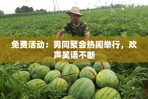 免费活动：男同聚会热闹举行，欢声笑语不断
