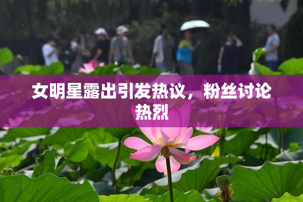 女明星露出引发热议，粉丝讨论热烈
