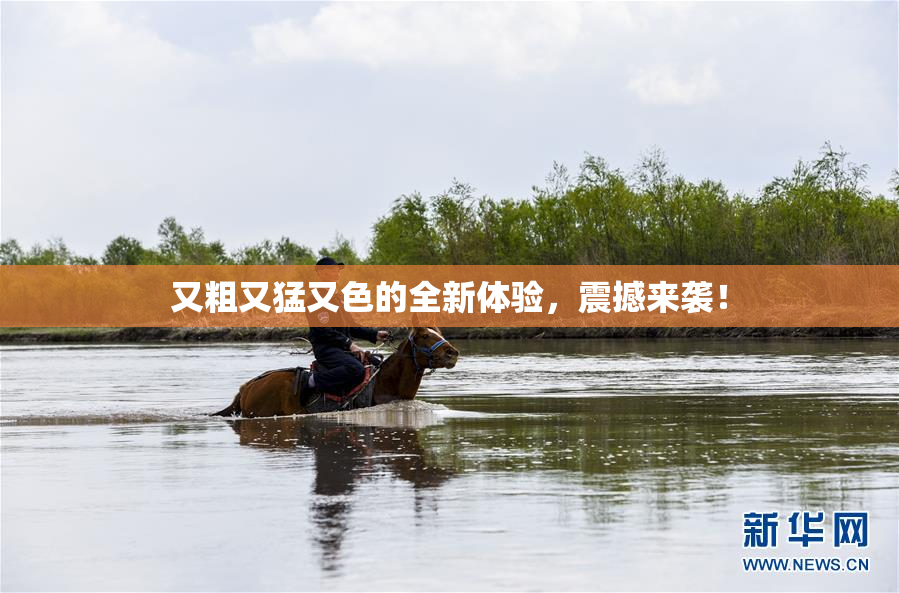 又粗又猛又色的全新体验，震撼来袭！