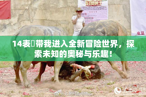 14表妺带我进入全新冒险世界，探索未知的奥秘与乐趣！