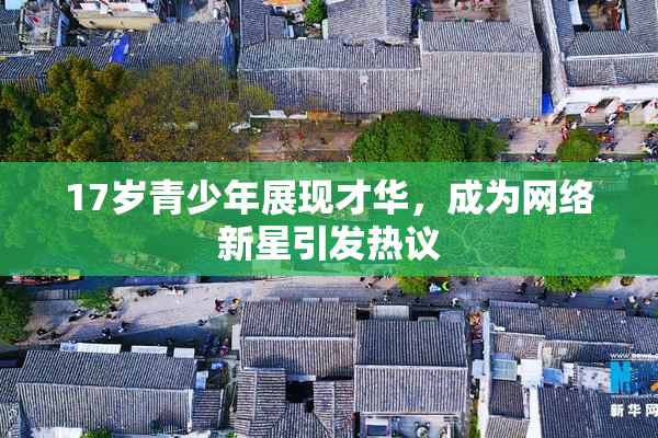 17岁青少年展现才华，成为网络新星引发热议