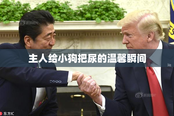 主人给小狗把尿的温馨瞬间