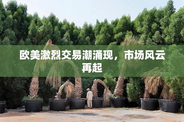 欧美激烈交易潮涌现，市场风云再起