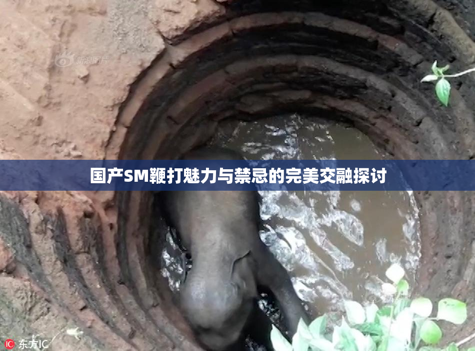 国产SM鞭打魅力与禁忌的完美交融探讨