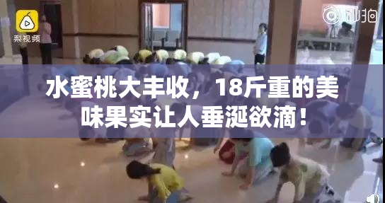 水蜜桃大丰收，18斤重的美味果实让人垂涎欲滴！