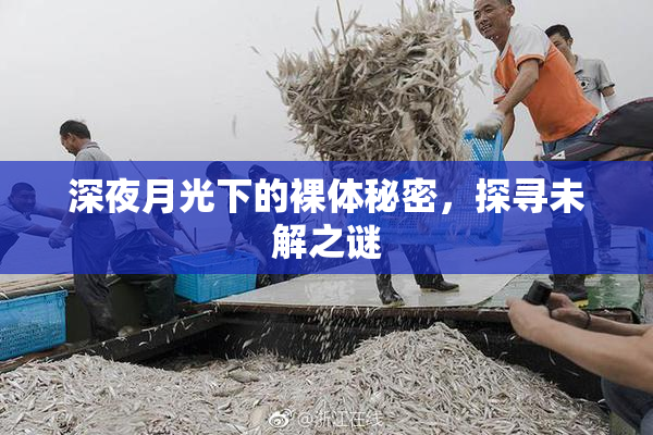深夜月光下的裸体秘密，探寻未解之谜