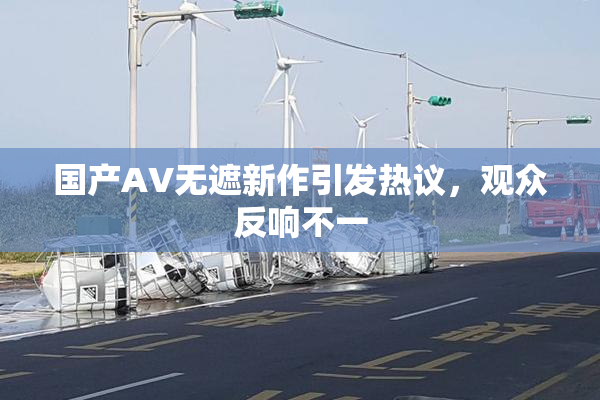 国产AV无遮新作引发热议，观众反响不一