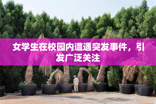 女学生在校园内遭遇突发事件，引发广泛关注