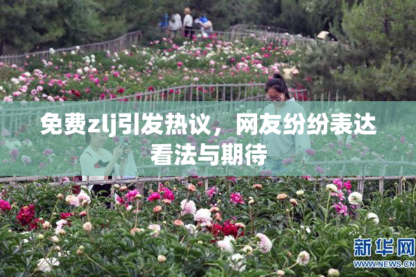 免费zlj引发热议，网友纷纷表达看法与期待