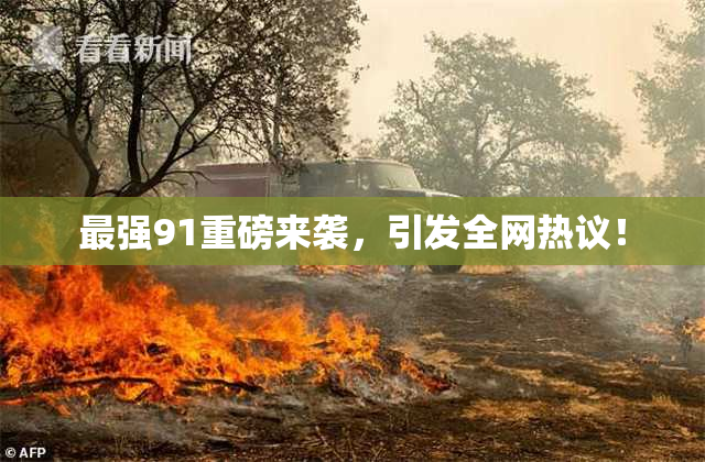 最强91重磅来袭，引发全网热议！
